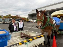 48FE7C07-EA9D-4F97-A2CF-9FCA7F7A1E07